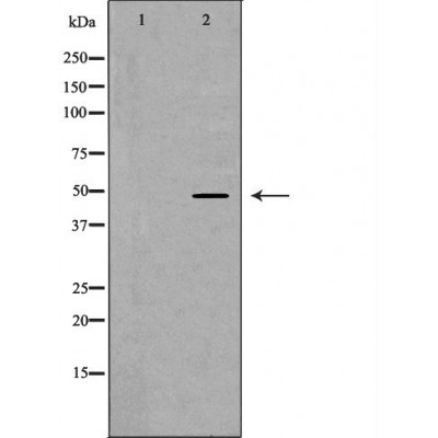 Валидация Affinity DF7405 - 19141