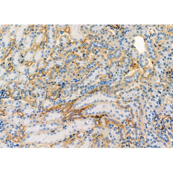 Валидация Affinity DF12339 - 6766