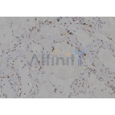 Валидация Affinity DF6945 - 18560