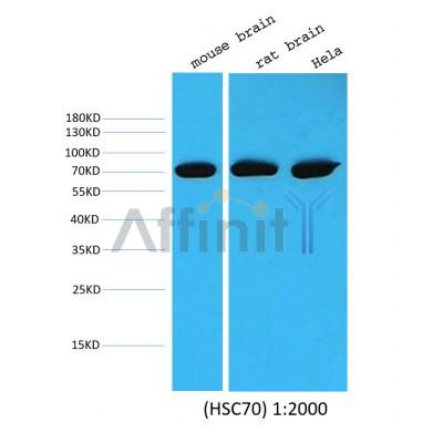 Валидация Affinity BF0712 - 5383