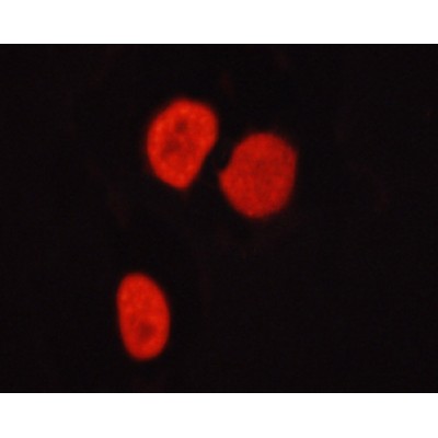 Валидация Affinity AF3485 - 2013