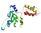 Integrator Complex Subunit 10 (INTS10) Integrator Complex Subunit 10 (INTS10)