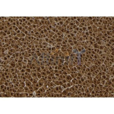 Валидация Affinity DF12003 - 5999