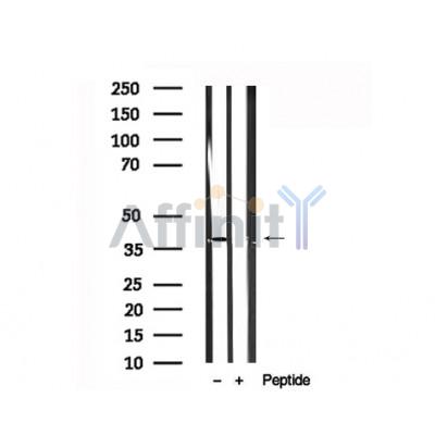 Валидация Affinity AF7688 - 4374