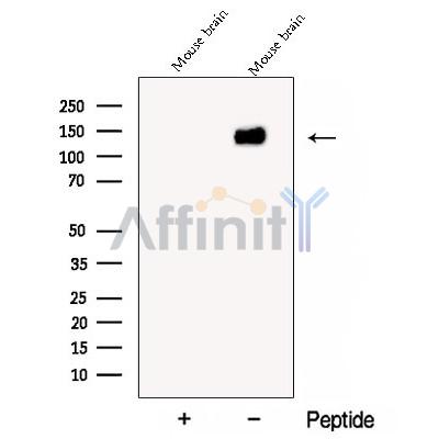 Валидация Affinity DF12927 - 7680