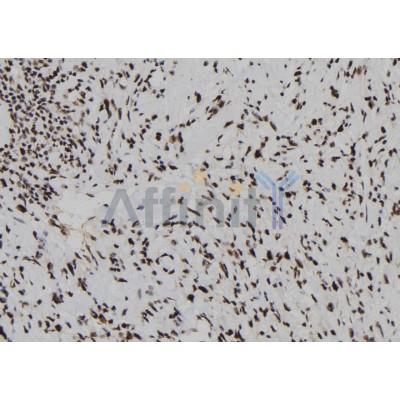 Валидация Affinity DF8238 - 20072