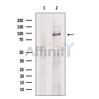 Валидация Affinity DF6921 - 18522
