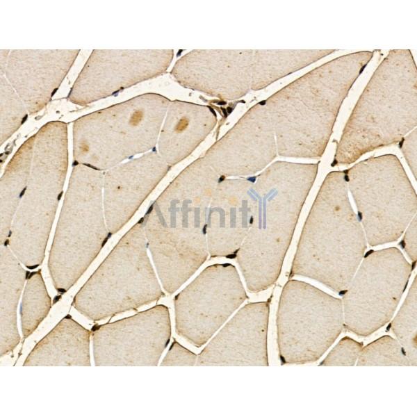 Валидация Affinity DF13145 - 8093