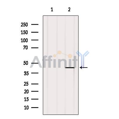 Валидация Affinity DF10305 - 5922