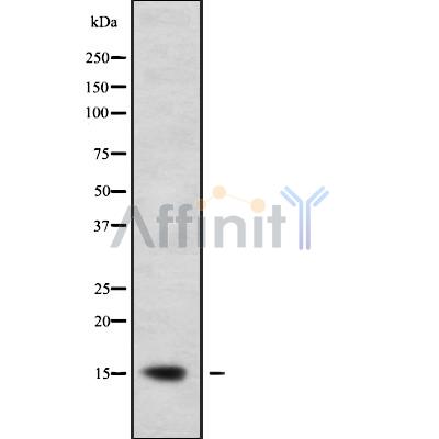 Валидация Affinity DF10077 - 5560