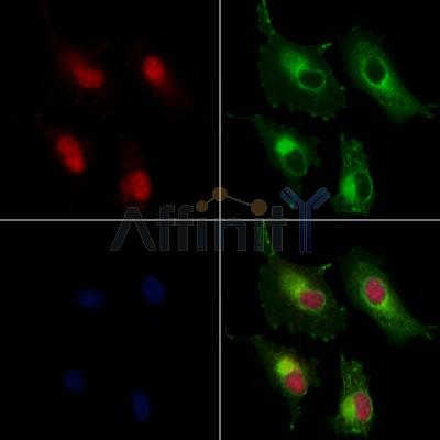 Валидация Affinity DF12400 - 6886