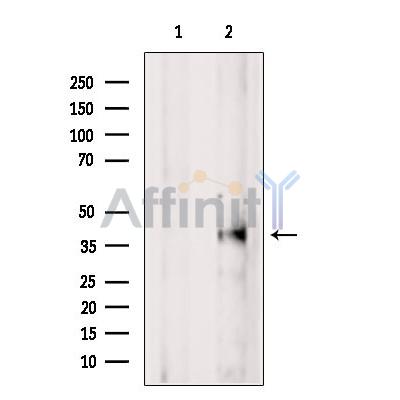 Валидация Affinity DF4822 - 16578