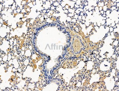 Валидация Affinity DF15518 - 11900