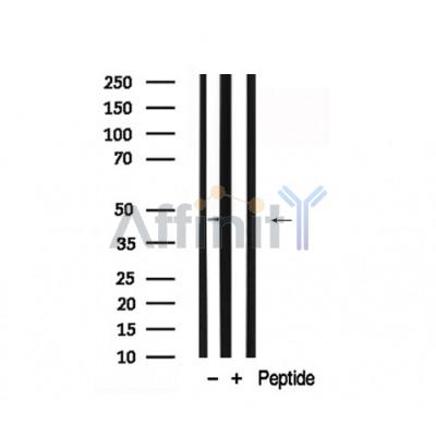 Валидация Affinity AF7834 - 4559