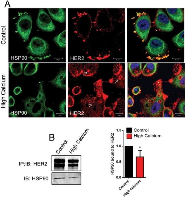Валидация AssayVector ARM2214(3685)