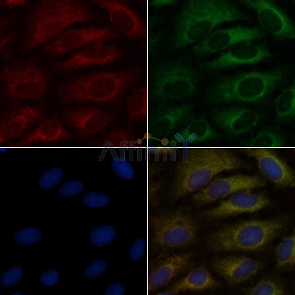 Валидация Affinity DF6633 - 18103