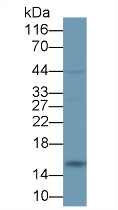 8471
