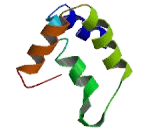 Integral Membrane Protein 2C (ITM2C) Integral Membrane Protein 2C (ITM2C)
