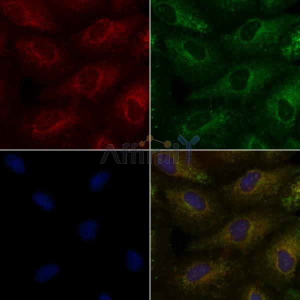 Валидация Affinity DF10273 - 5881