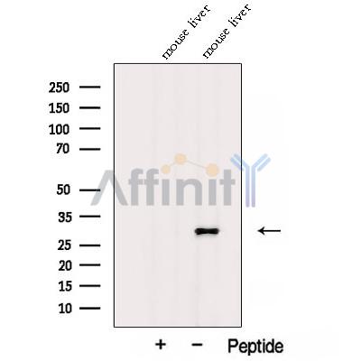 Валидация Affinity DF12814 - 7521