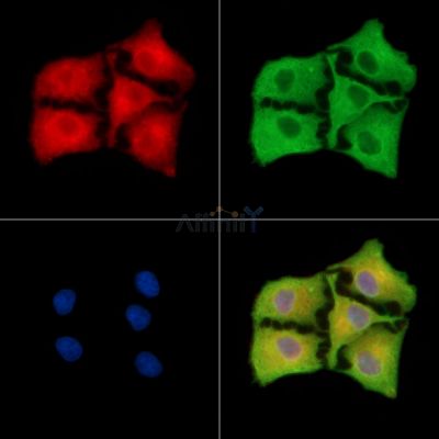 Валидация Affinity DF9847 - 22756