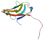 Protocadherin Beta 3 (PCDHb3) Protocadherin Beta 3 (PCDHb3)