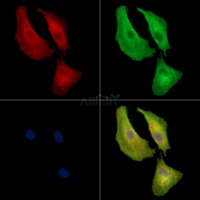 Валидация Affinity DF14044 - 9817