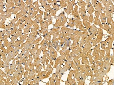 Валидация Affinity DF16115 - 12699