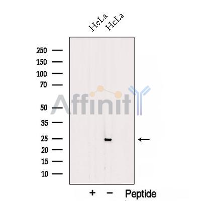 Валидация Affinity DF12769 - 7455