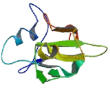 G Protein Coupled Receptor 82 (GPR82) G Protein Coupled Receptor 82 (GPR82)