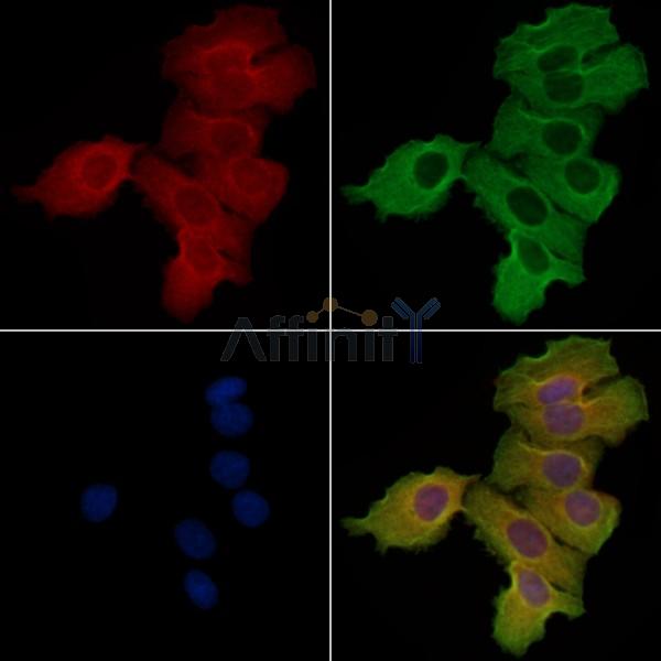 Валидация Affinity DF3503 - 14425