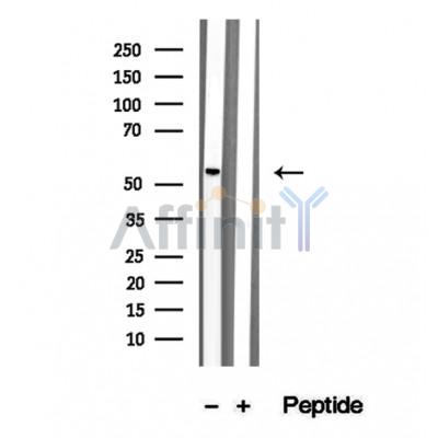Валидация Affinity DF12325 - 6728