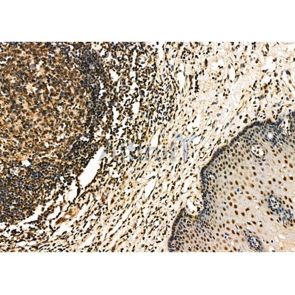 Валидация Affinity DF7698 - 19483