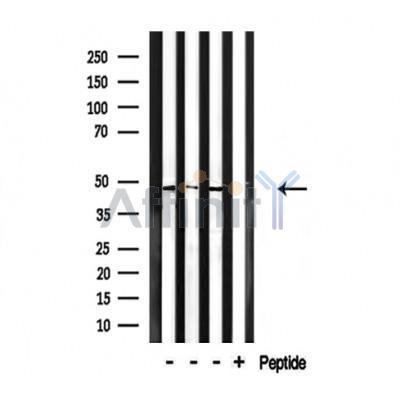 Валидация Affinity DF3538 - 14482