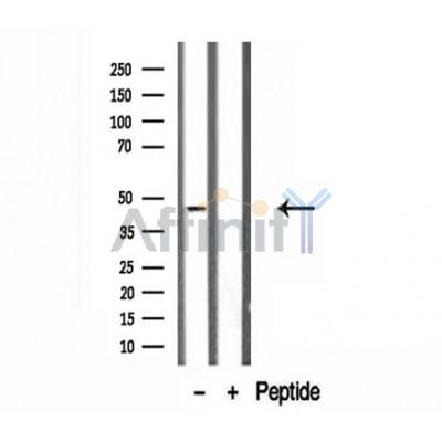 Валидация Affinity DF12142 - 6321