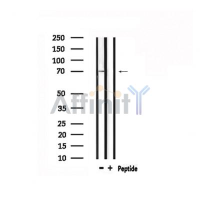 Валидация Affinity DF6487 - 17881