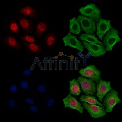 Валидация Affinity DF13709 - 9326