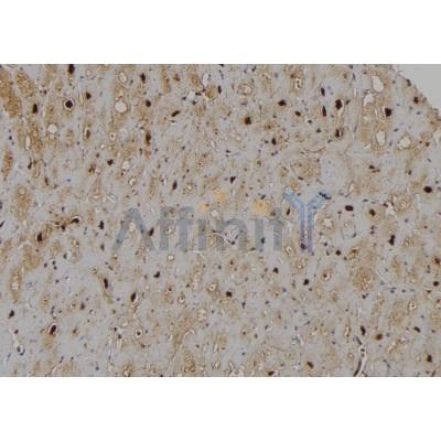 Валидация Affinity DF6933 - 18543