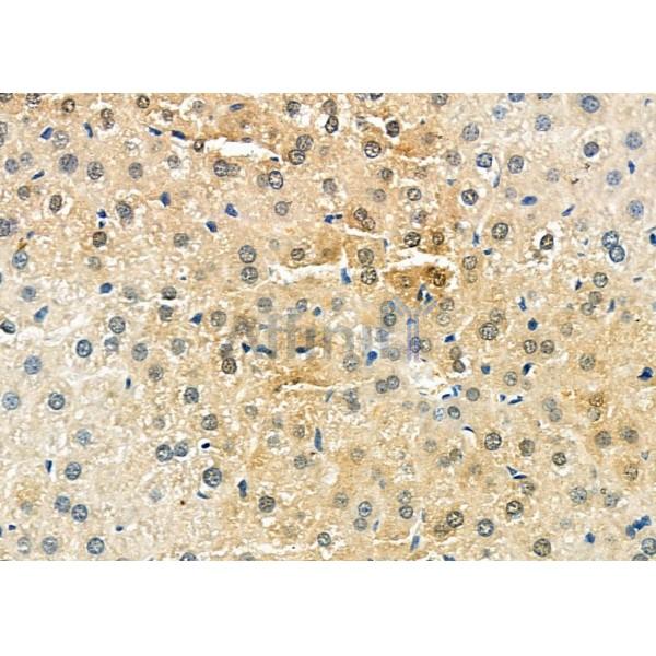 Валидация Affinity DF6449 - 17832