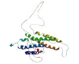 Pyroglutamylated RFamide Peptide Receptor (QRFPR) Pyroglutamylated RFamide Peptide Receptor (QRFPR)