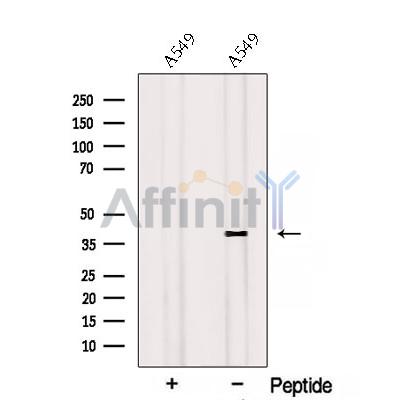 Валидация Affinity DF12728 - 7402