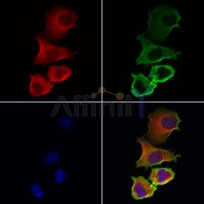 Валидация Affinity DF12141 - 6320