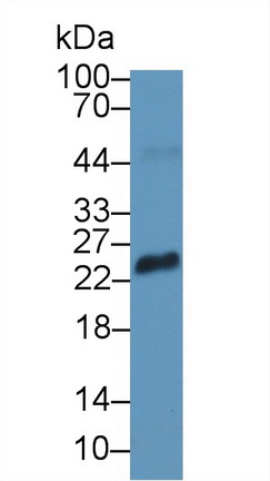8849
