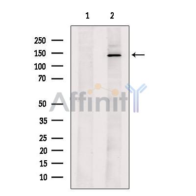Валидация Affinity DF13326 - 8499