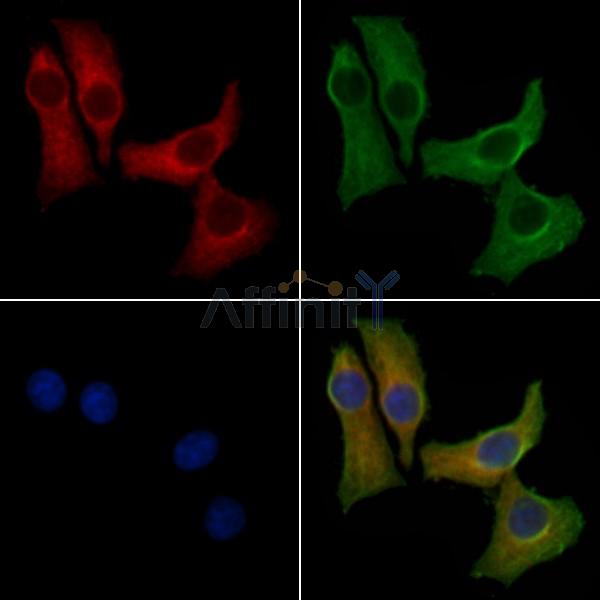 Валидация Affinity DF10104 - 5605