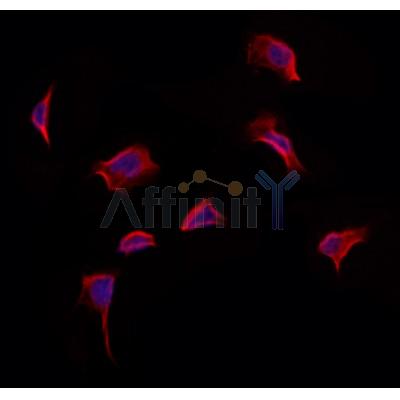 Валидация Affinity DF12326 - 6733