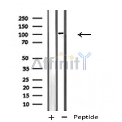 Валидация Affinity AF4636 - 2248