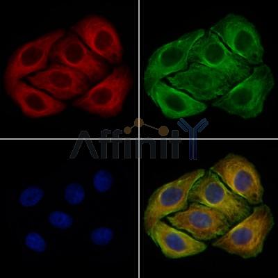 Валидация Affinity DF7543 - 19295