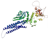 Signal Transducer And Activator Of Transcription 1 (STAT1) Signal Transducer And Activator Of Transcription 1 (STAT1)