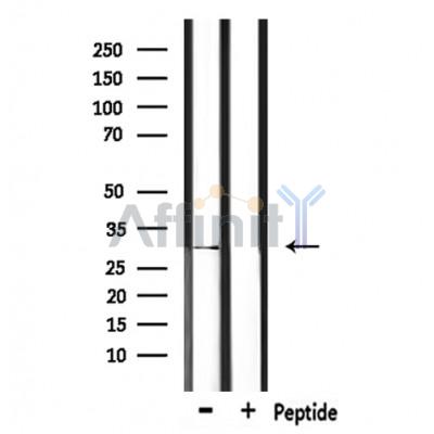 Валидация Affinity DF8319 - 20172